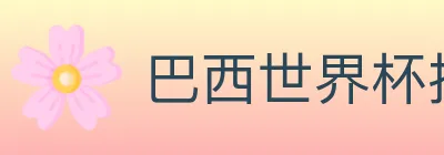 巴西世界杯投注入口 logo